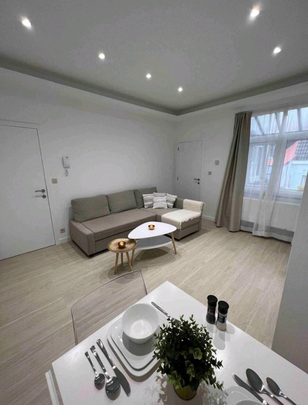 Sublime Calme Cosy & Jacuzzi * Bruxelles